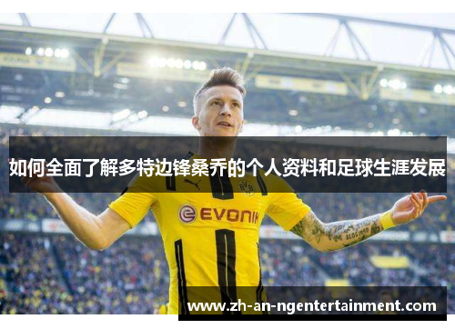 如何全面了解多特边锋桑乔的个人资料和足球生涯发展