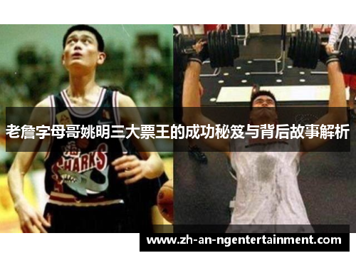 老詹字母哥姚明三大票王的成功秘笈与背后故事解析