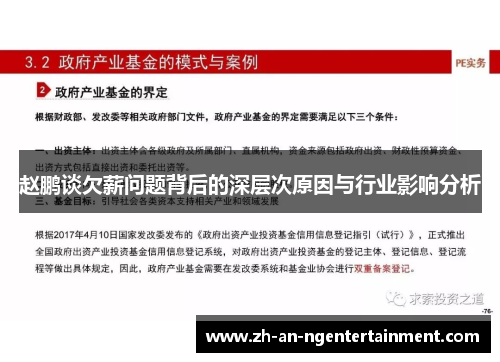 赵鹏谈欠薪问题背后的深层次原因与行业影响分析